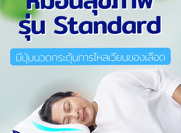 หมอน-Standard หมอนยางพาราเพื่อสุขภาพ